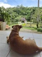 Ventinha - Mascote da Pousada